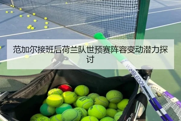 范加尔接班后荷兰队世预赛阵容变动潜力探讨